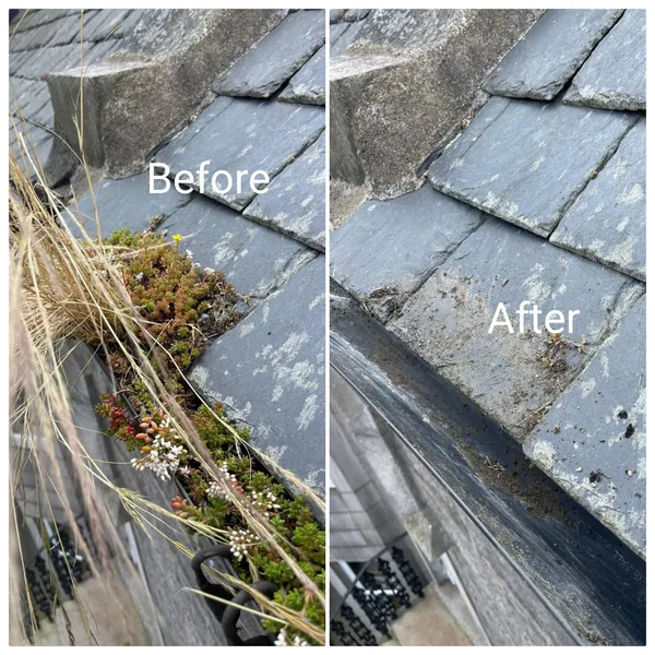 Professional gutter cleaning results