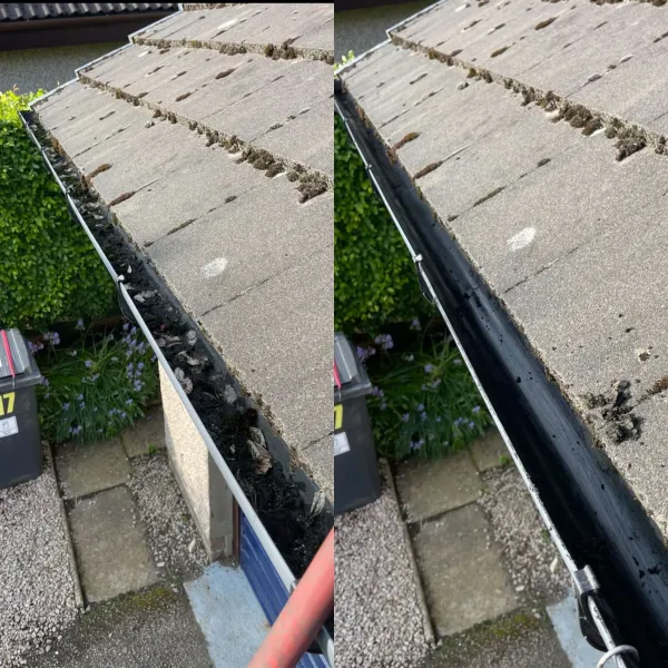 Clean gutters transformation