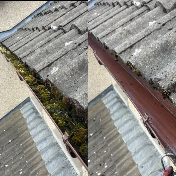 Gutter maintenance before and after