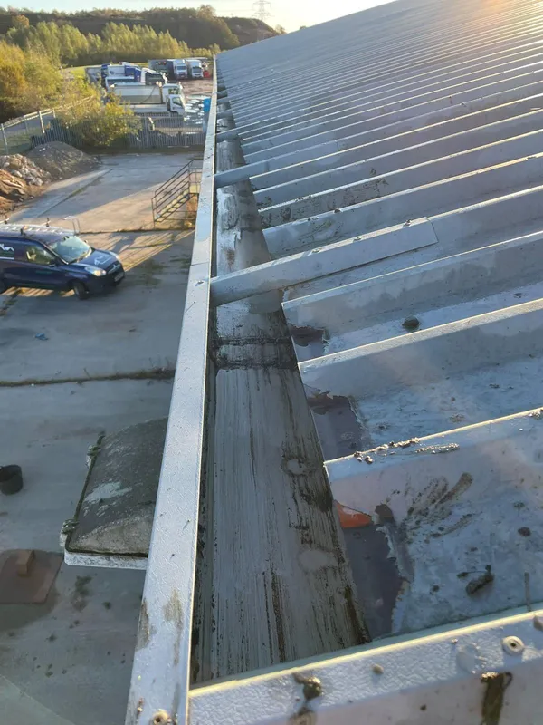 Weed-free gutters after cleaning