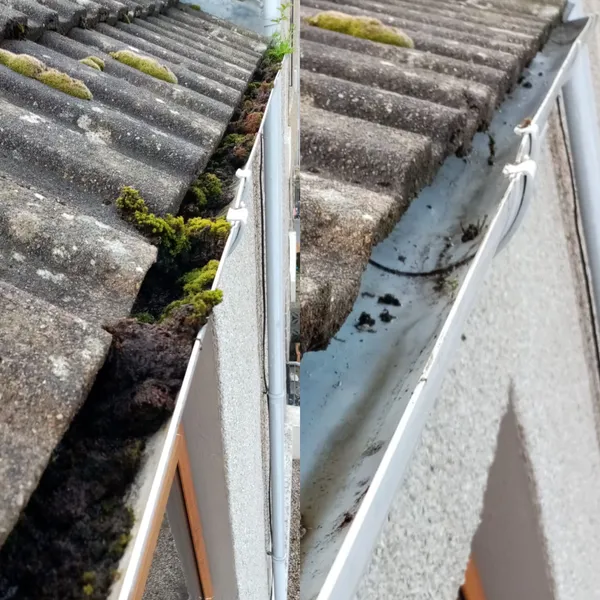 Professional gutter cleaning service