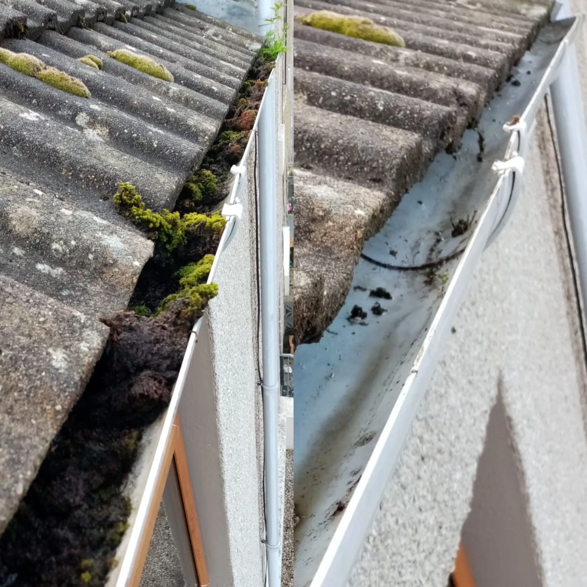 Professional gutter cleaning services available in Montrose