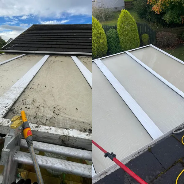 Roof cleaning before and after