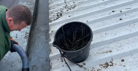 Local Gutter Cleaning: Why Hiring a Pro Near You is the Smartest Choice for Your Home