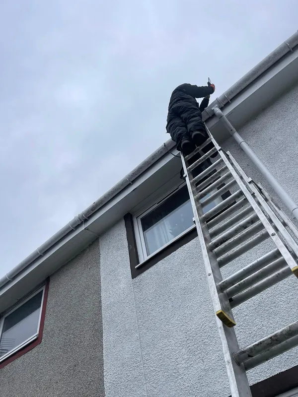 Professional gutter cleaning service