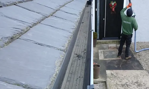 Professional Gutter Cleaning