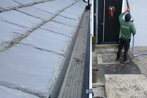 Professional Gutter Cleaning